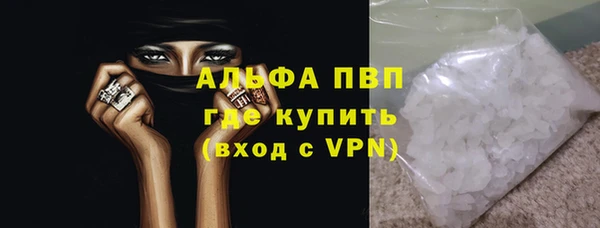 гидра Елабуга
