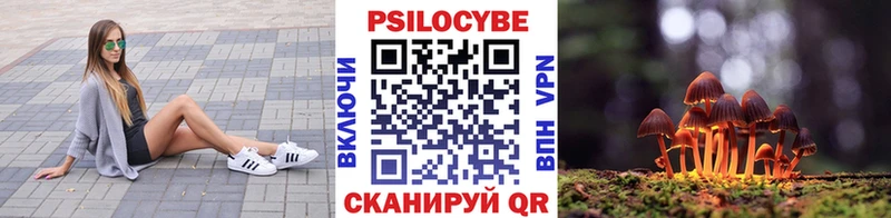 Галлюциногенные грибы прущие грибы  Купить где  Сокол 